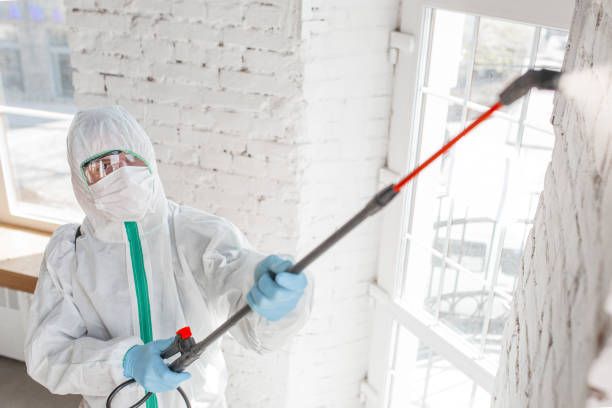 Best Mold Remediation for Healthcare Facilities  in Pocono Ranch Lands, PA